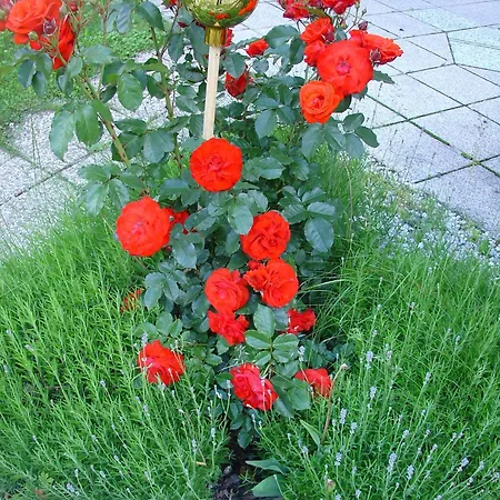 Pensionat Haus Fernblick